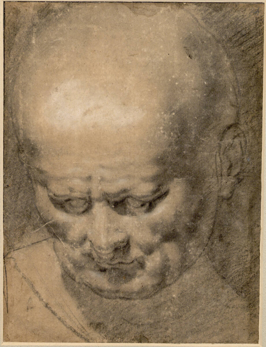 Anonym, Männliche Kopfstudie (Vespasian ?)