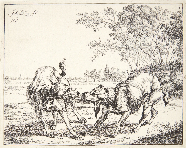 Johan le Ducq, To hunde, der kæmper om et stykke kød