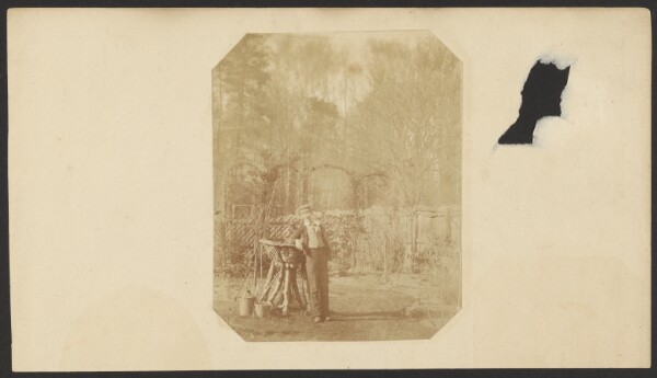 Unknown, [Boy in garden]