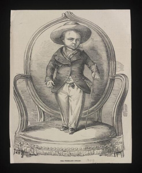 Unknown, The Friesland Dwarf