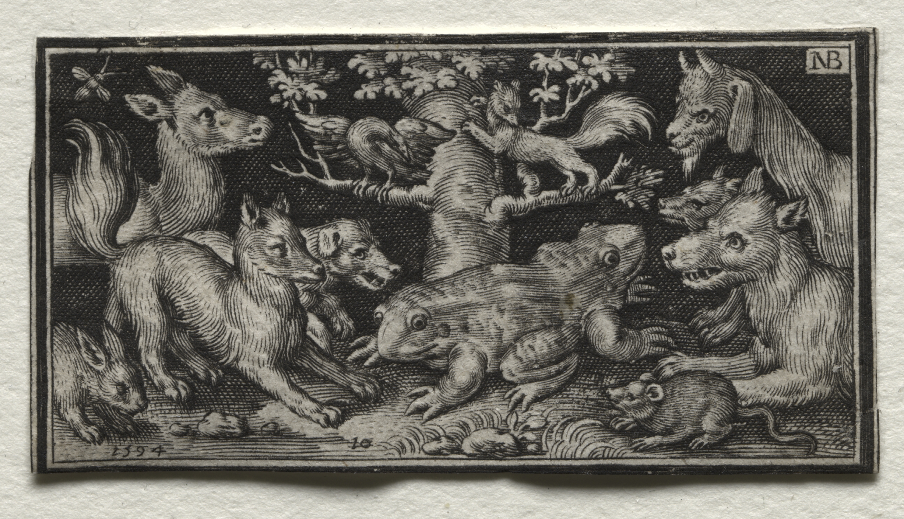 Nicolaes de Bruyn, Two-headed Frog surrounded by Animals
