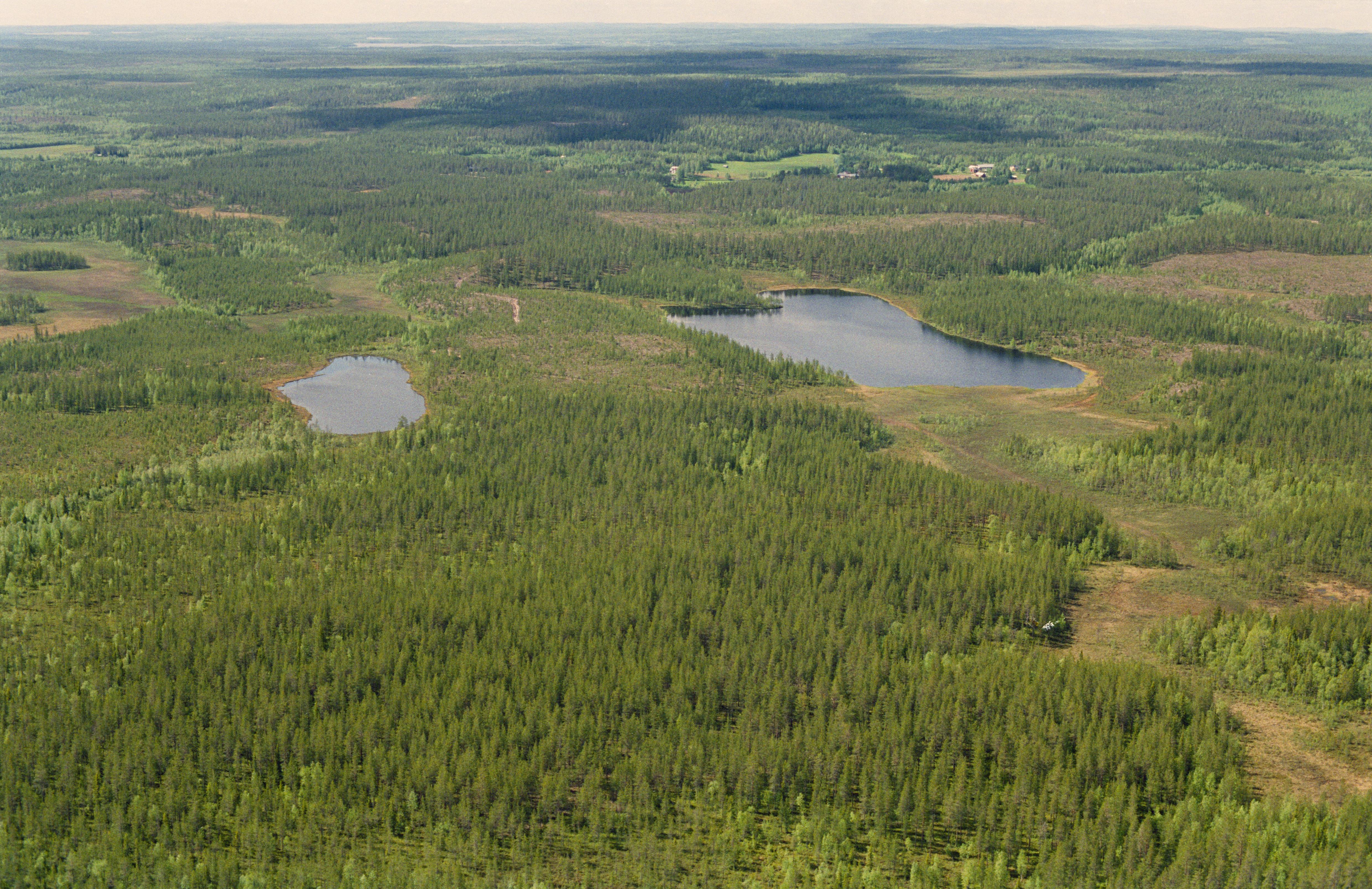 Jan Norrman, Töre 408:1