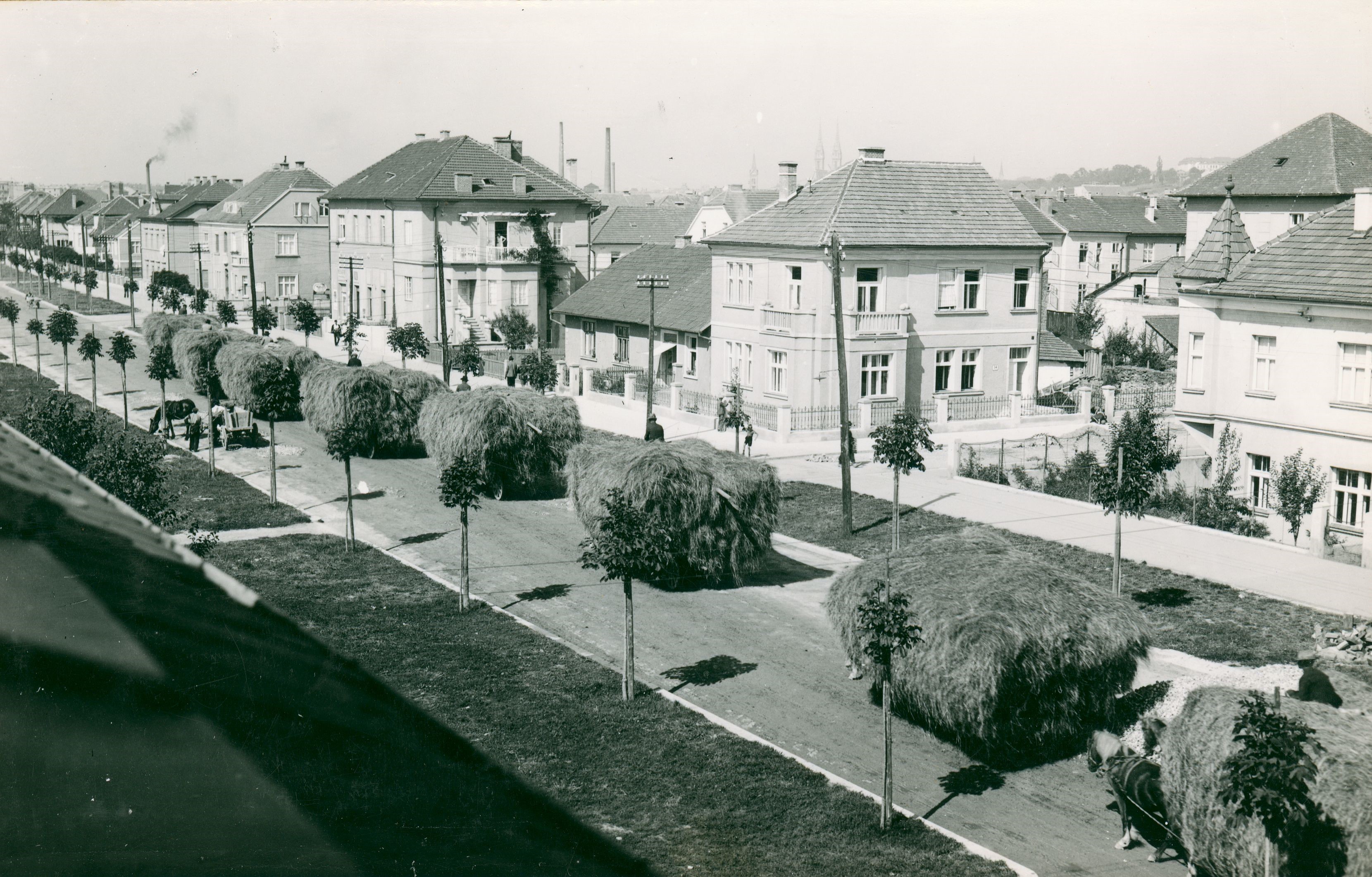Vladimir Horvat, Zagreb (Zvonimirova ulica) - Sajmeni dan s vozovima sijena
