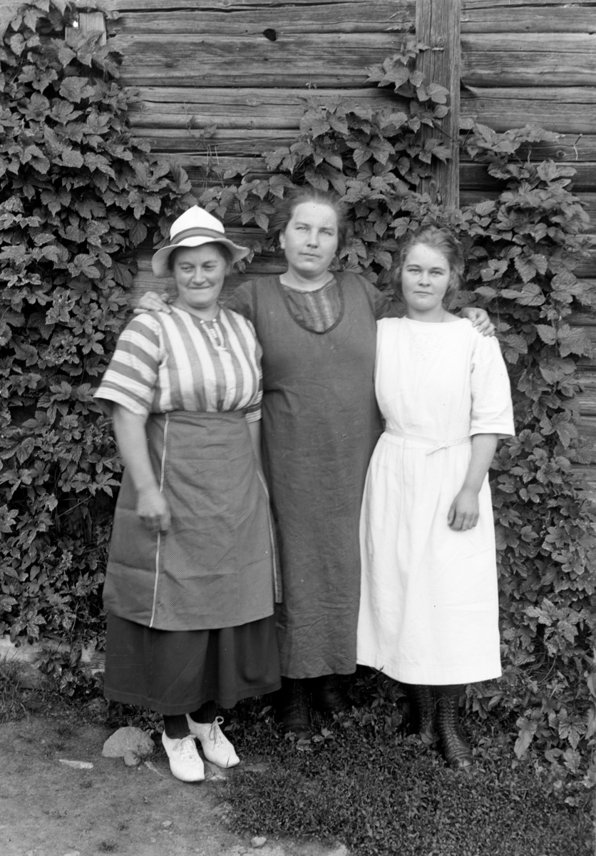 Engebret Dalen Olsen, Evenrud, 634-3 Nes. F.v. Anne Doknes g. Årlien, Karen Evenrud og Ragna eller Emma Doknes, humleplanter.