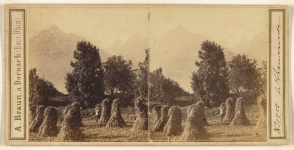 Adolphe Braun, le Chamounix