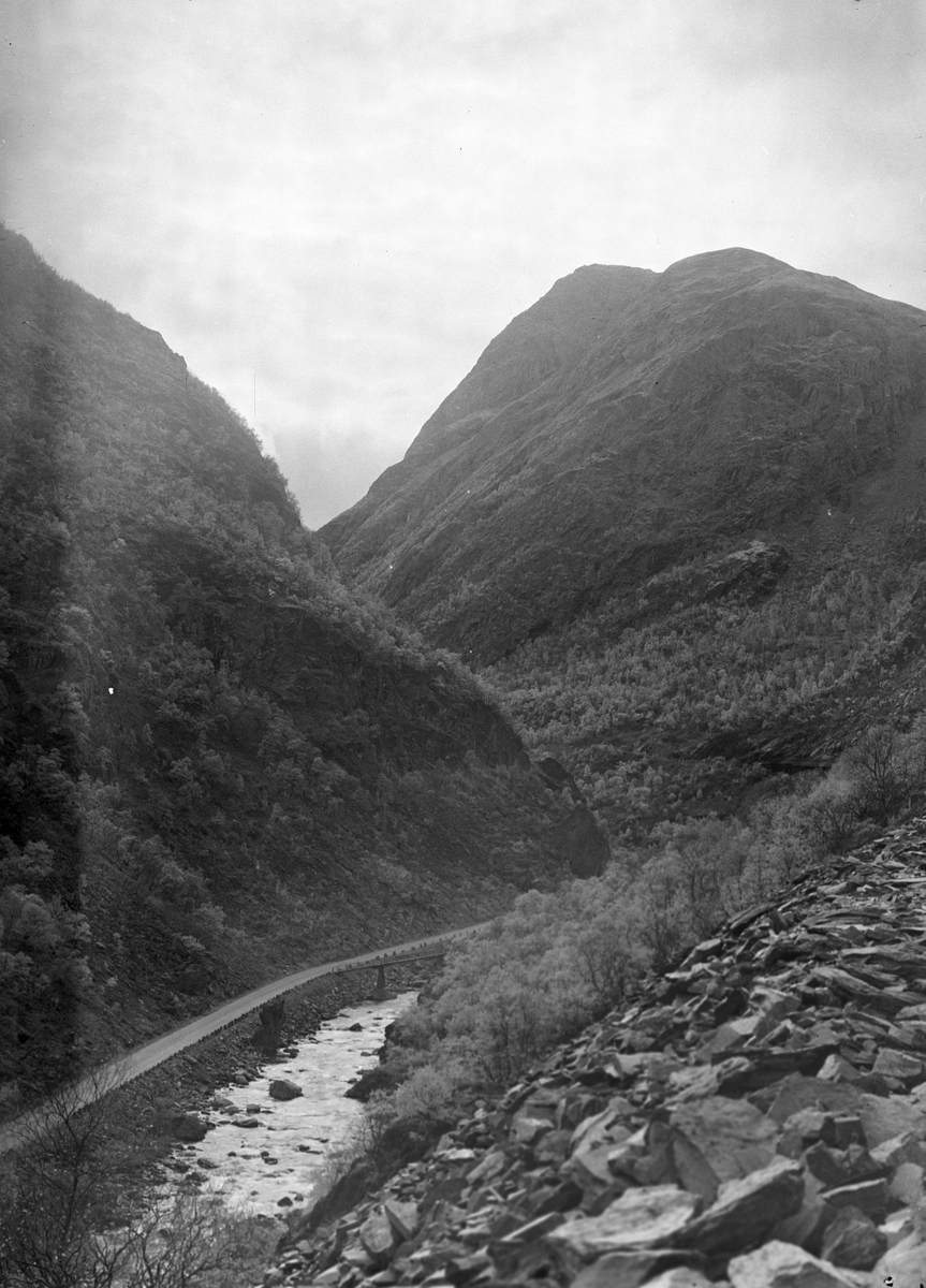 Anders Beer Wilse, Prot: Drivdalen Driva