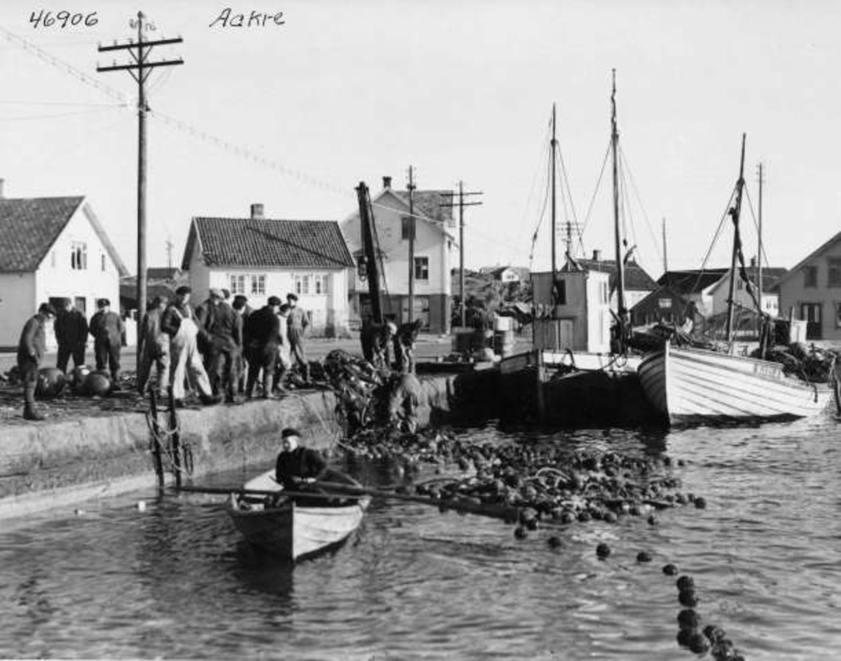 Anders Beer Wilse, -6818