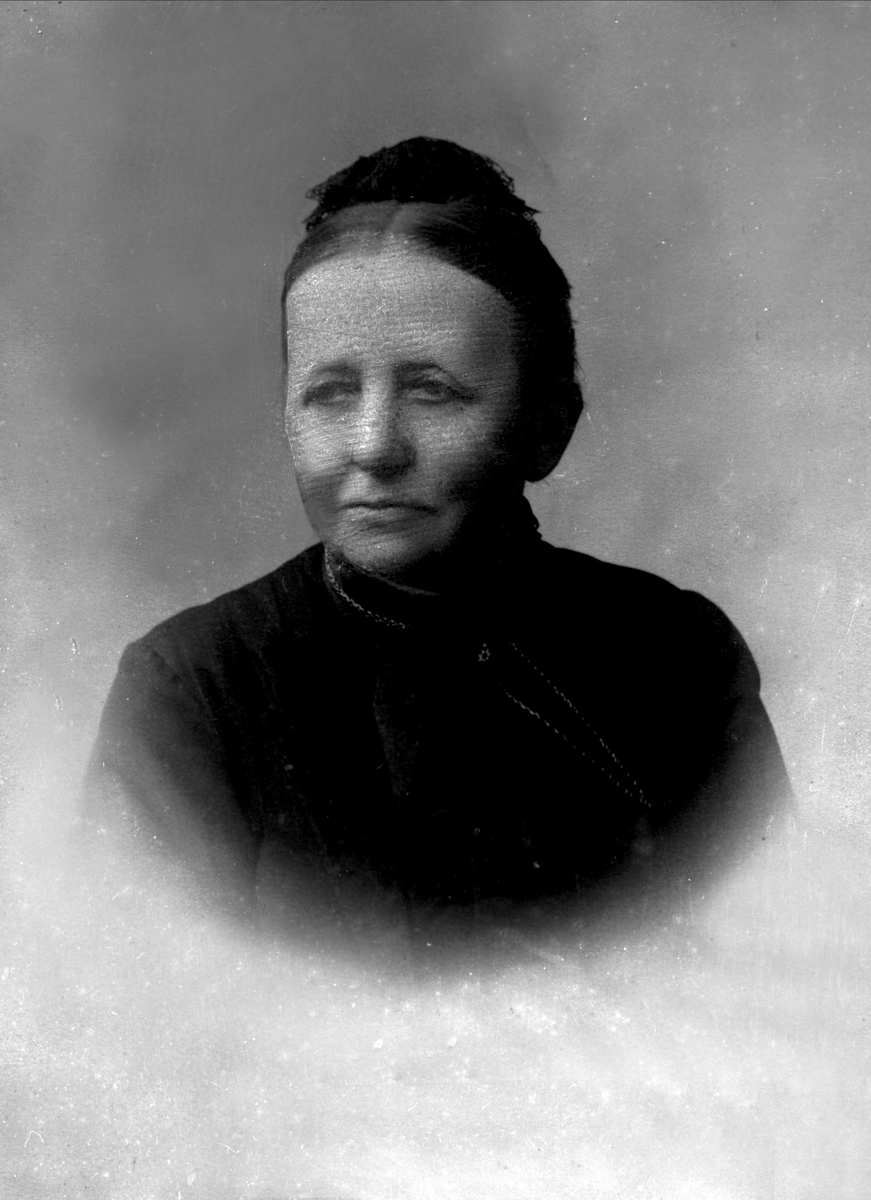 Gustav Borgen, NFB.05004