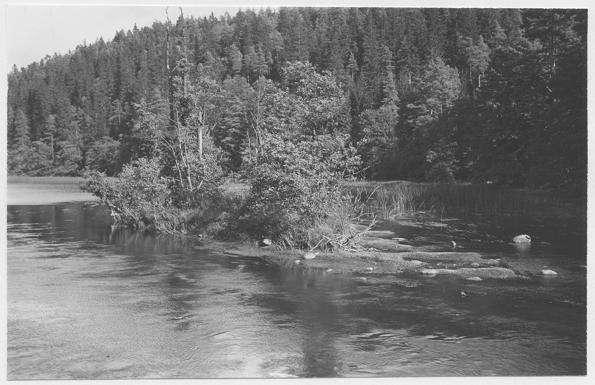 Mårten Sjöbeck, Säveån