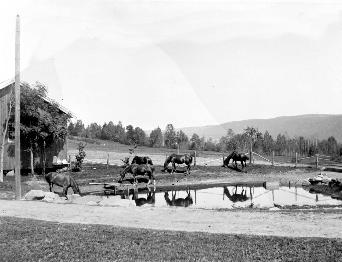 Juliane Fredrikke Langberg, Hurum prestegård, del av gårdstun med driftbygning, vanningsplass og beiteområde med hester. Fotografens svoger, Olaf A. Holm var sokneprest i Hurum 1897-1904. Fra malerinne Juliane Fredrikke Langbergs (1856-1930) samling, tatt ca.1895-1910 med motivkrets slekt og venner samt steder tilknyttet samv…
