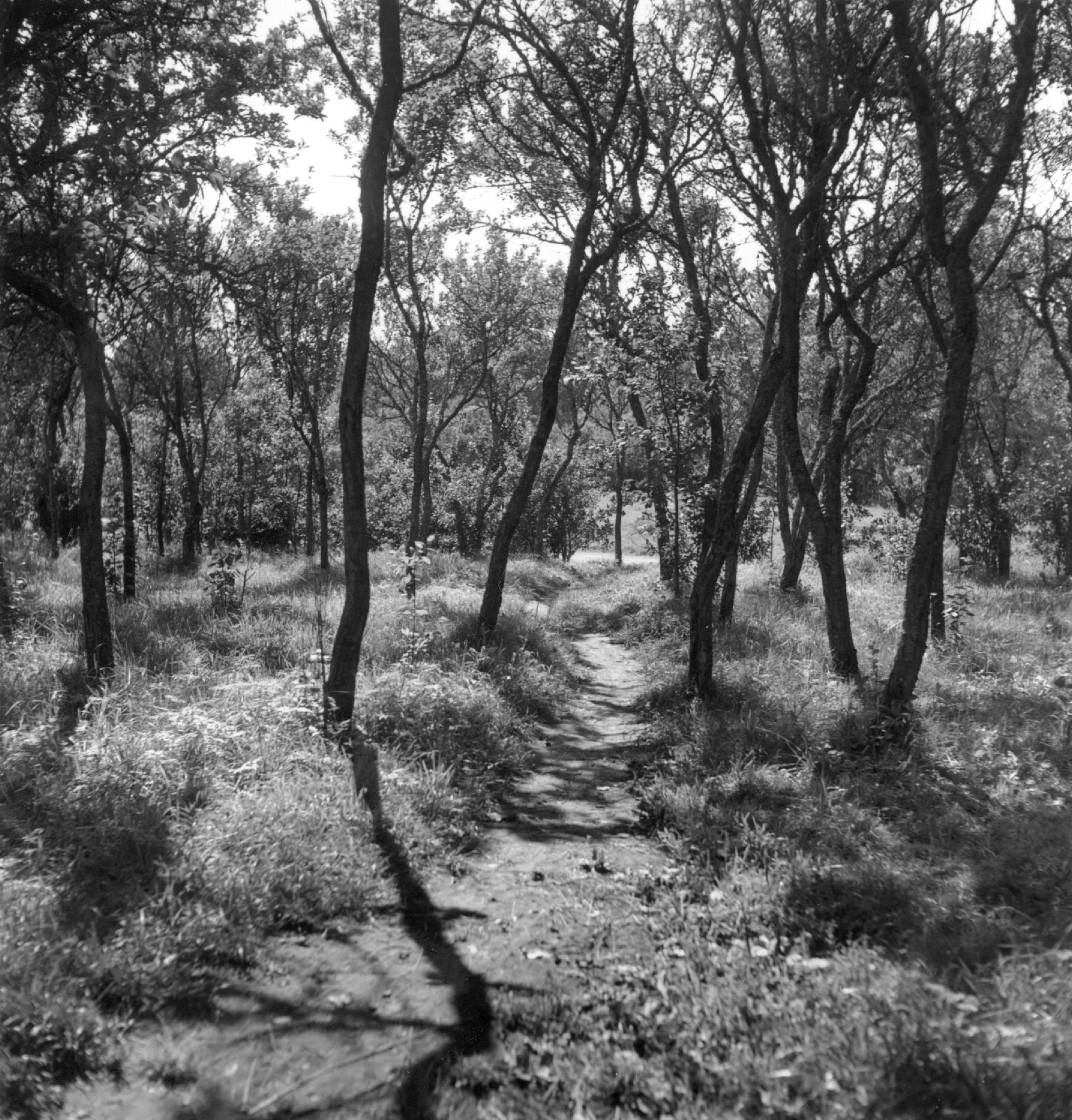Mårten Sjöbeck, Kläcklinge