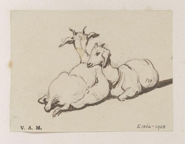 George Chinnery, Two goats