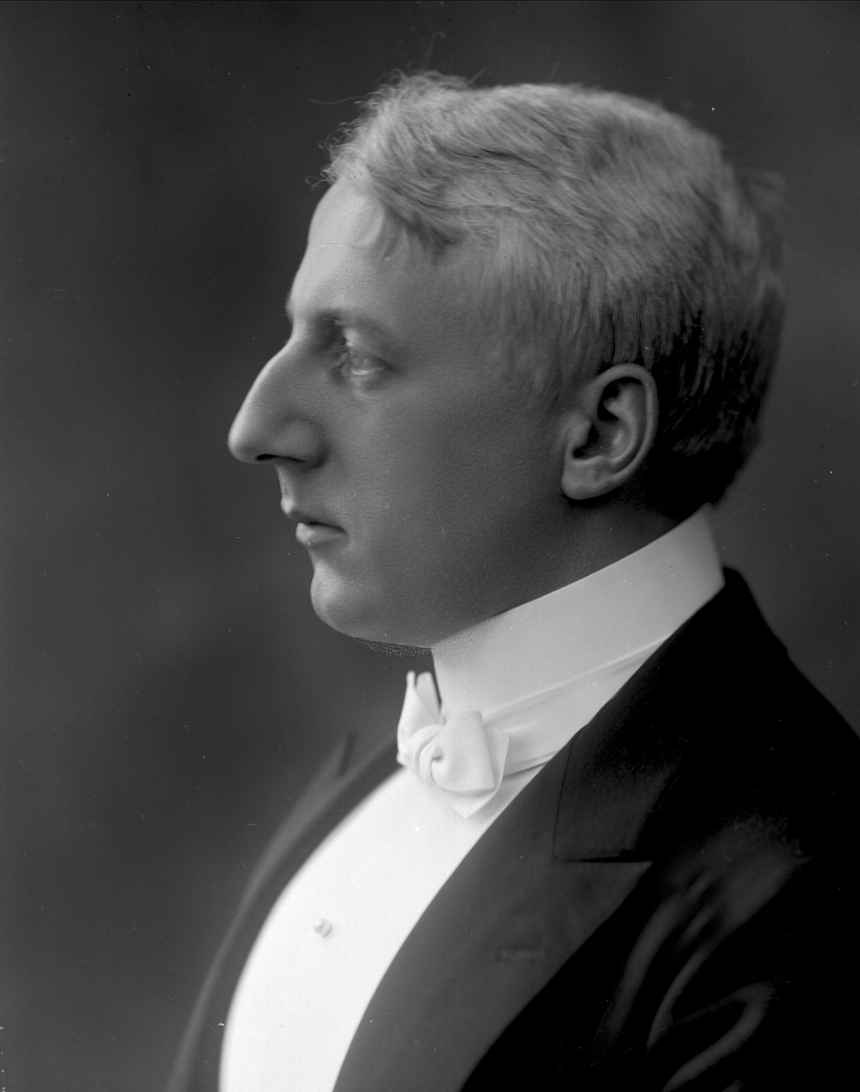 Gustav Borgen, Portrett, dirigent og musiker Birger Hammer.