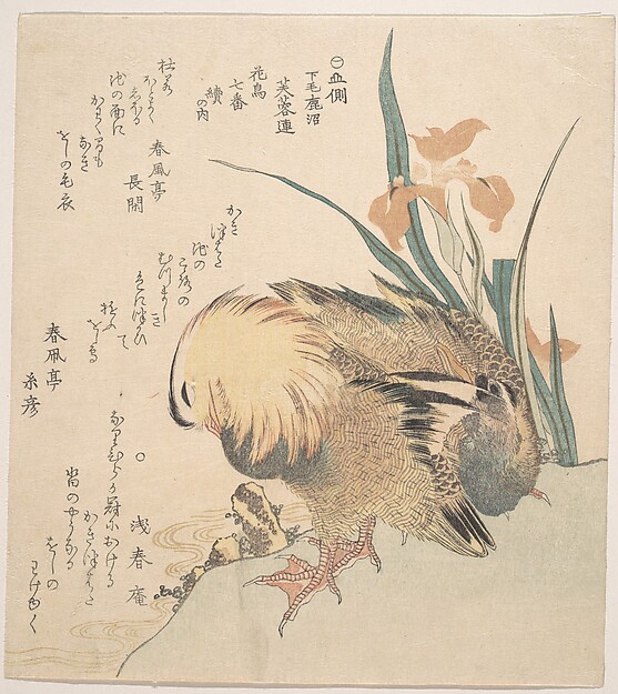 Kubo Shunman, Pair of Mandarin Ducks and Iris Flowers