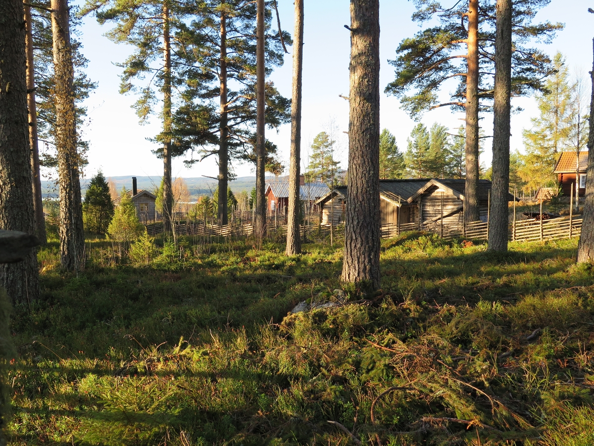 Jennie Tiderman-Österberg, Cottages, Grejsan Fatherboard, Enviken, 2017.