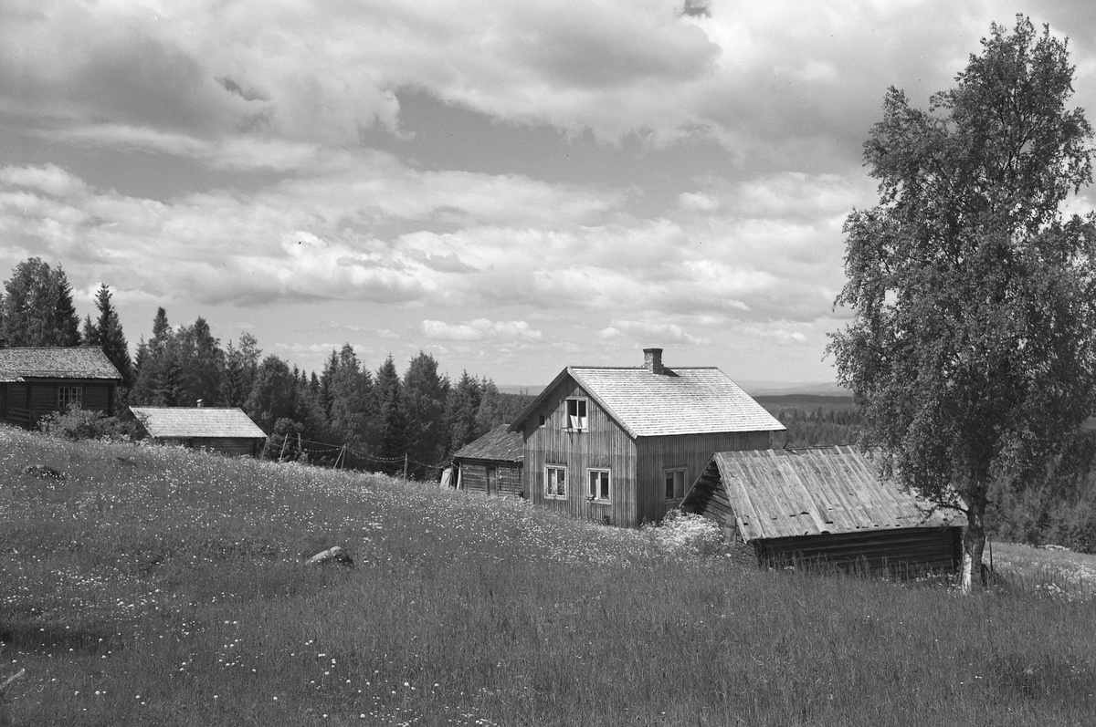 Anno Domkirkeodden, EKSTR: GARDSTUN, TOTBERGSBRÅTEN, LØTENBRÅTEN. Se Løtenboka, bind 3. Bygdeboka fra 1955, side 832