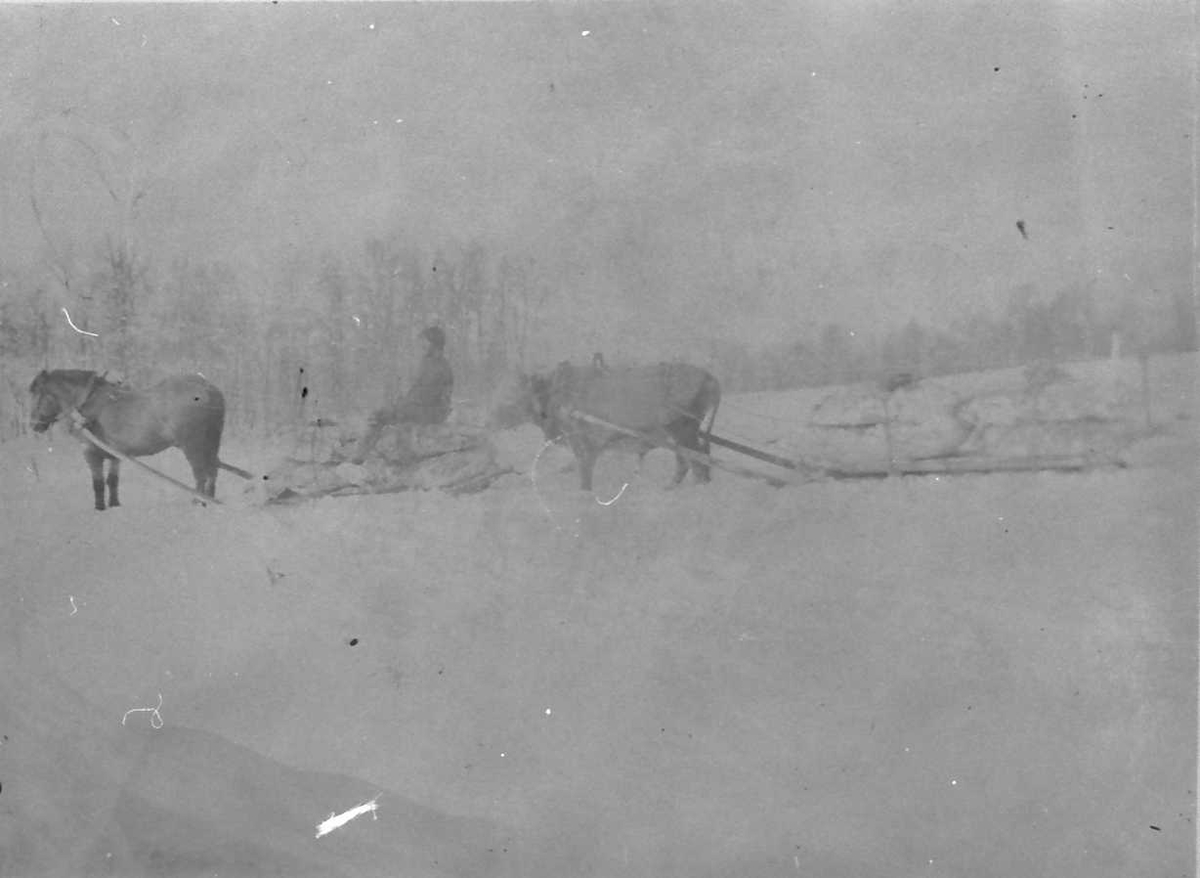 Peder J. Bredalslien, Vinter, slede, hest, okse,