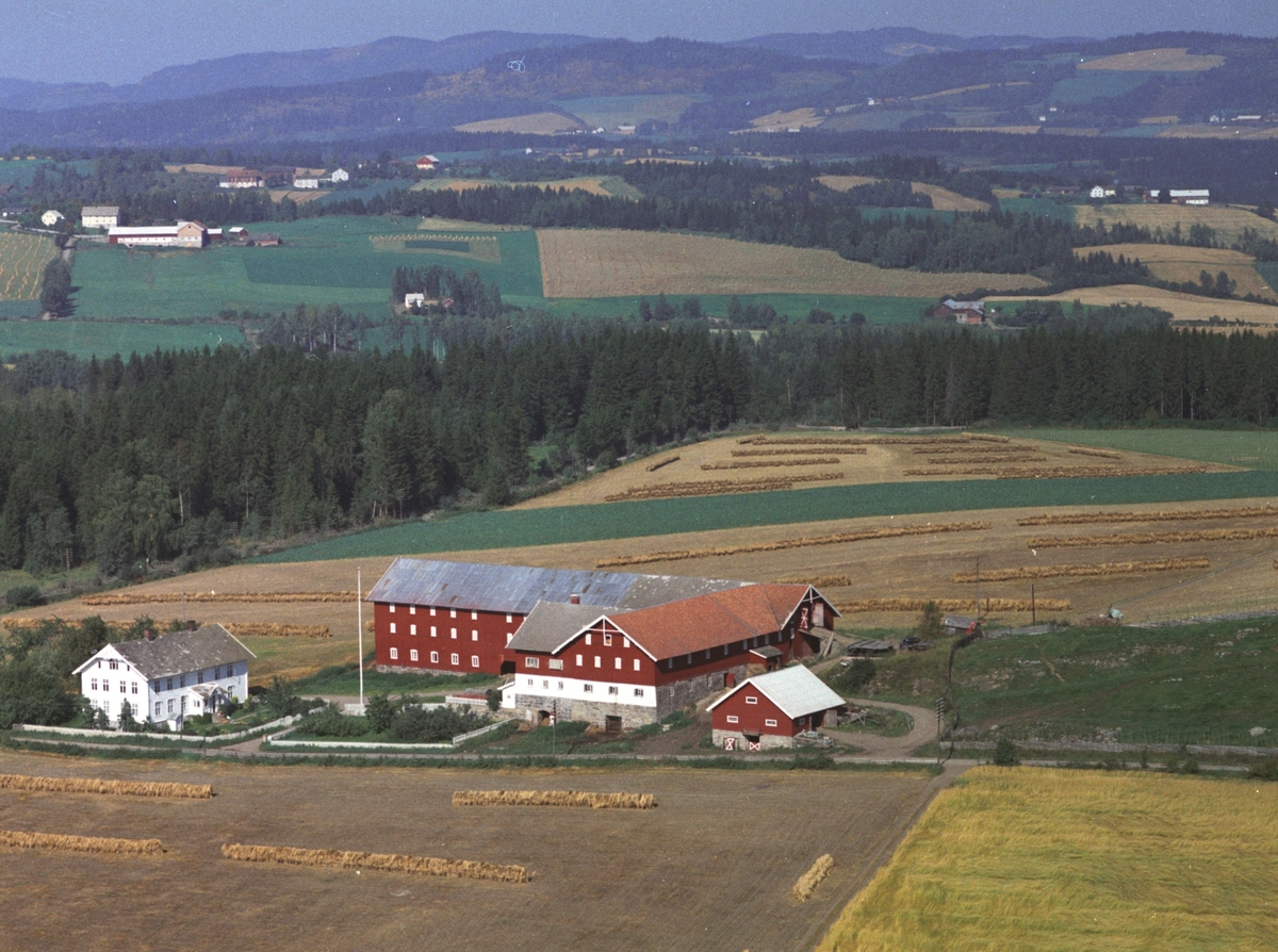 Widerøes Flyveselskap A/S, Flyfoto, Steinberg gard, Ringsaker.