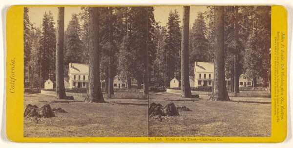 John P. Soule, Hotel at Big Trees, - Calaveras Co.
