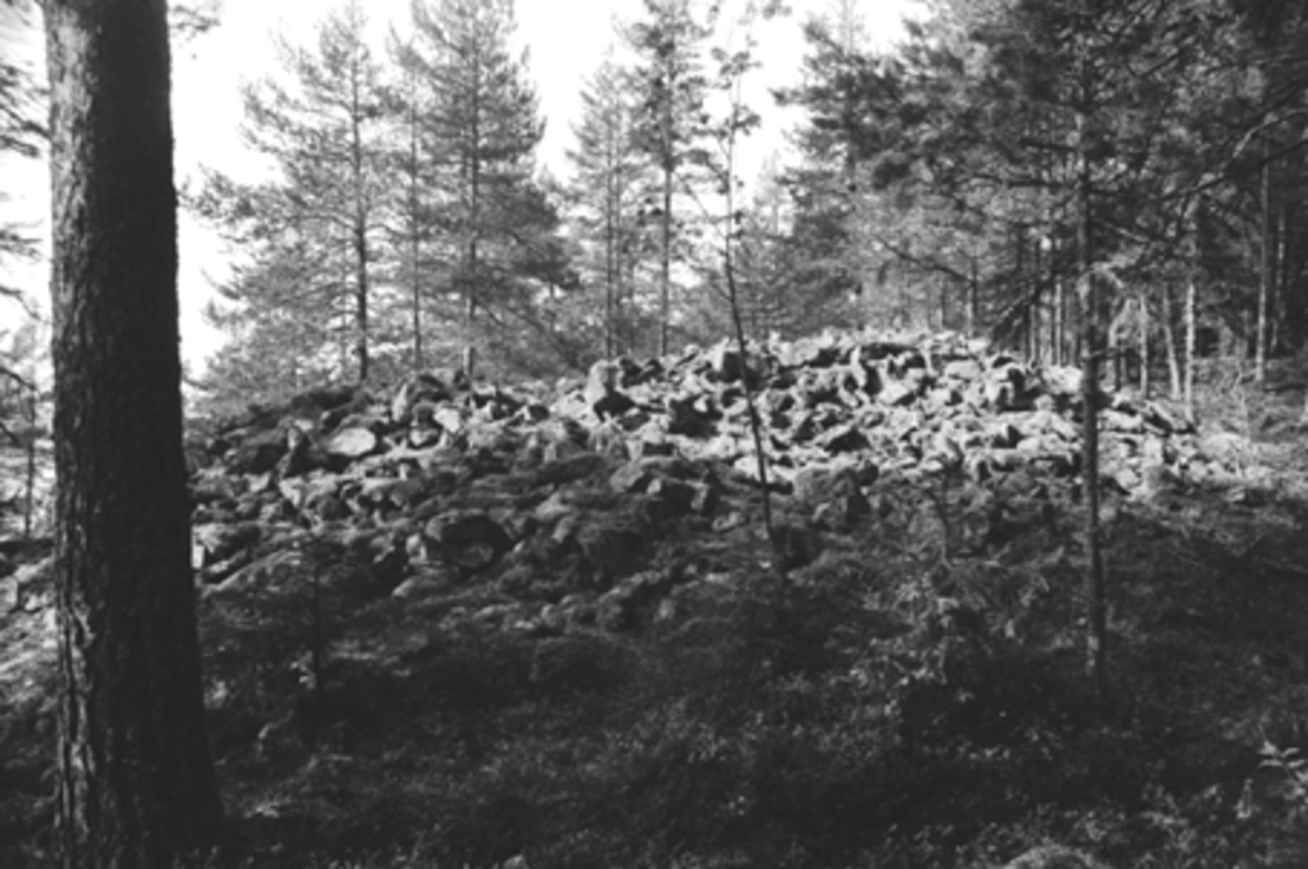 Anno Domkirkeodden, FORTIDSMINNE, FORNMINNE, GRAVRØYS, TANGEN