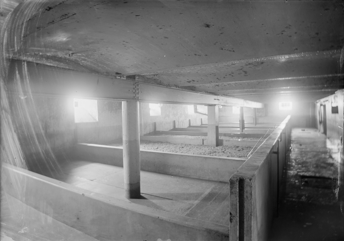 Henri Osti's Fotografiateliér, Mältkar i jästfabriken, Upsala Ångqvarns AB, Östra Ågatan, Uppsala omkring 1913