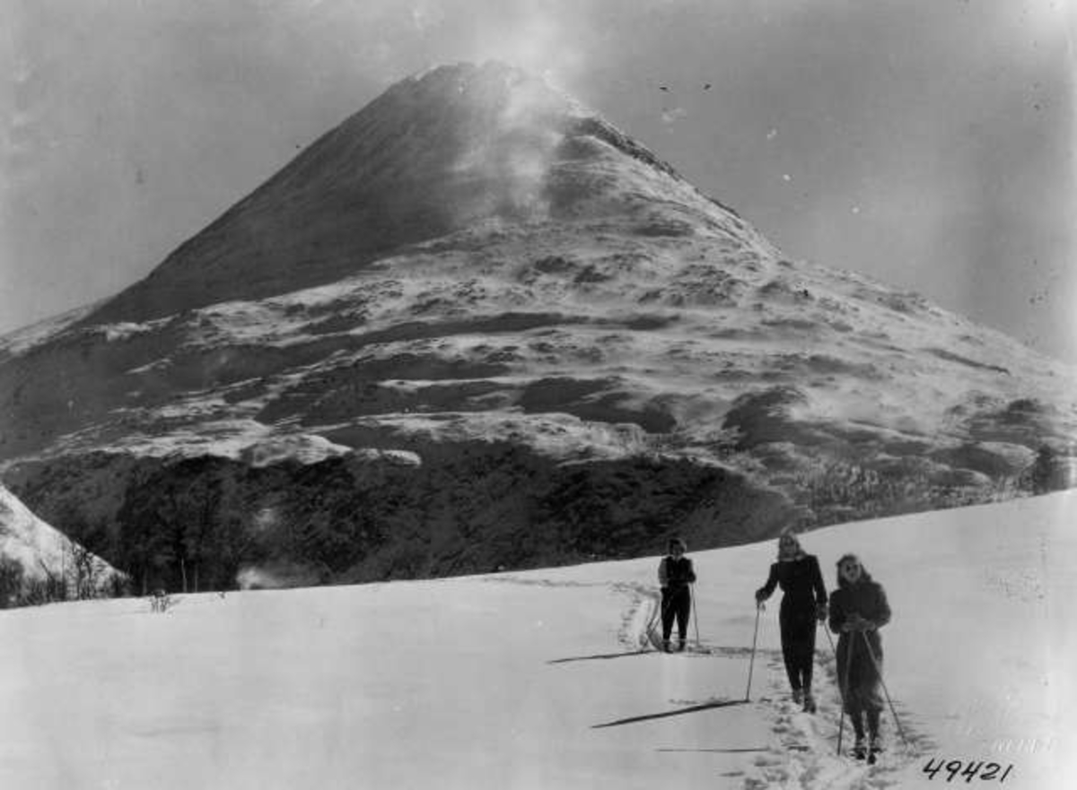 Anders Beer Wilse, Skiløpere ved Gaustatoppen.