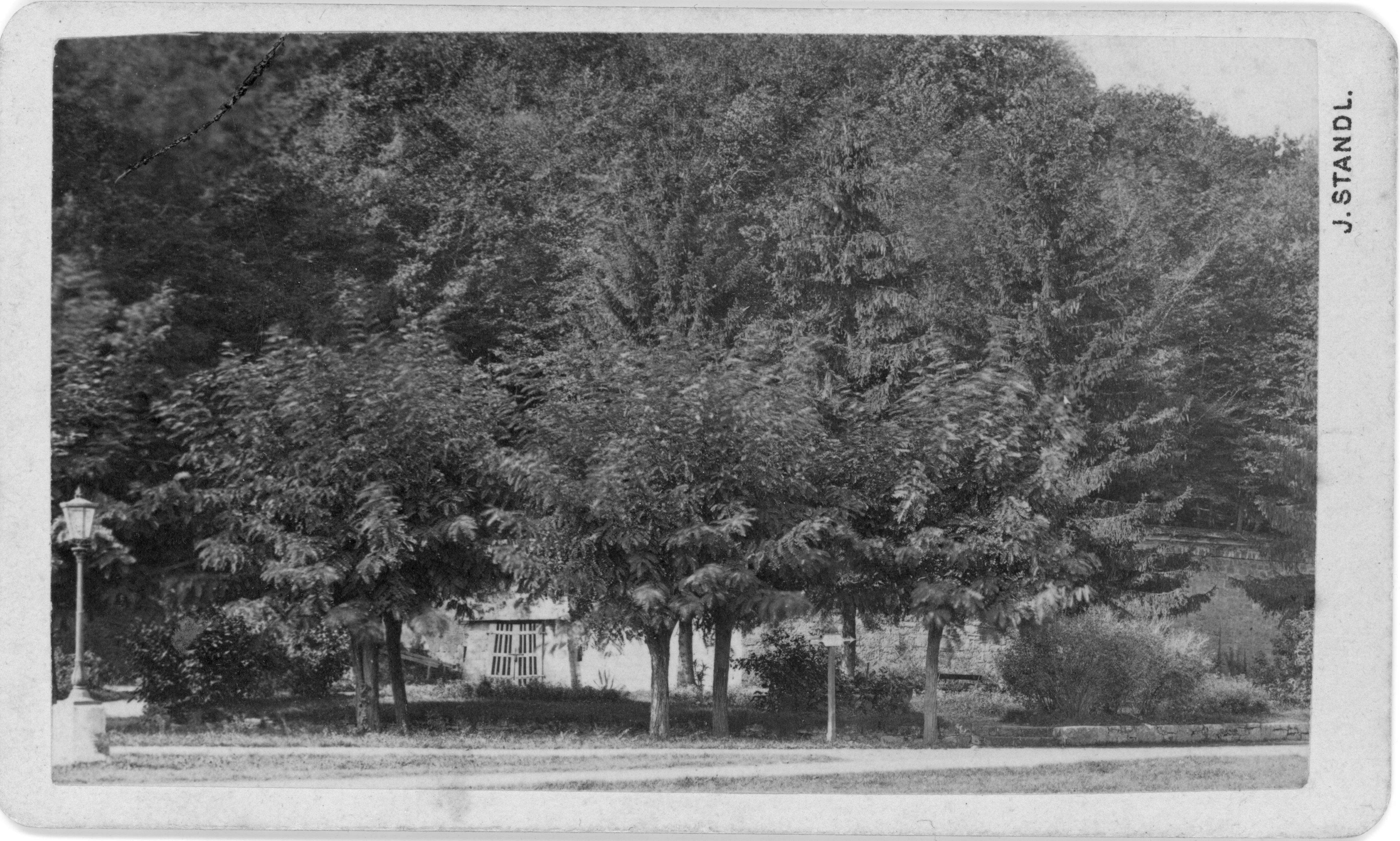 Ivan Standl, Zagreb, Maksimir (?)