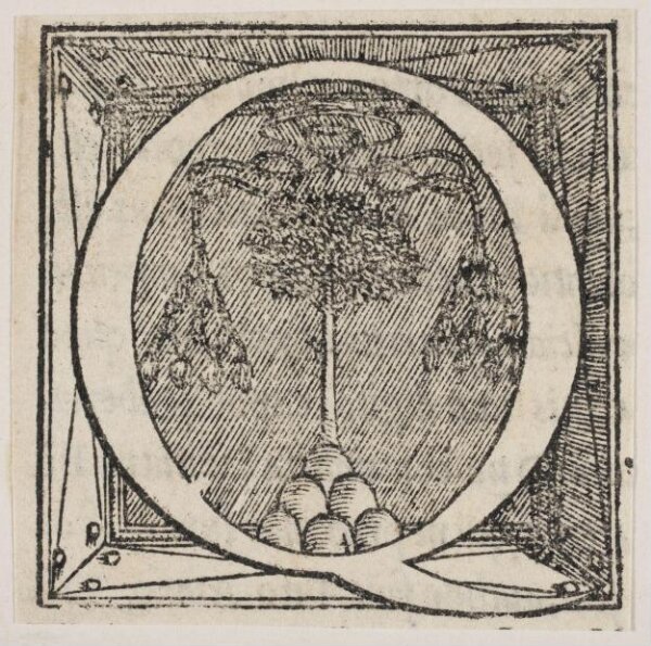 Unknown, Print