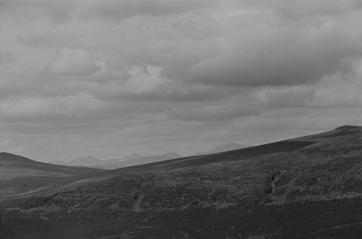 Anders Beer Wilse, Prot: Rondane fra Storfjellseter
