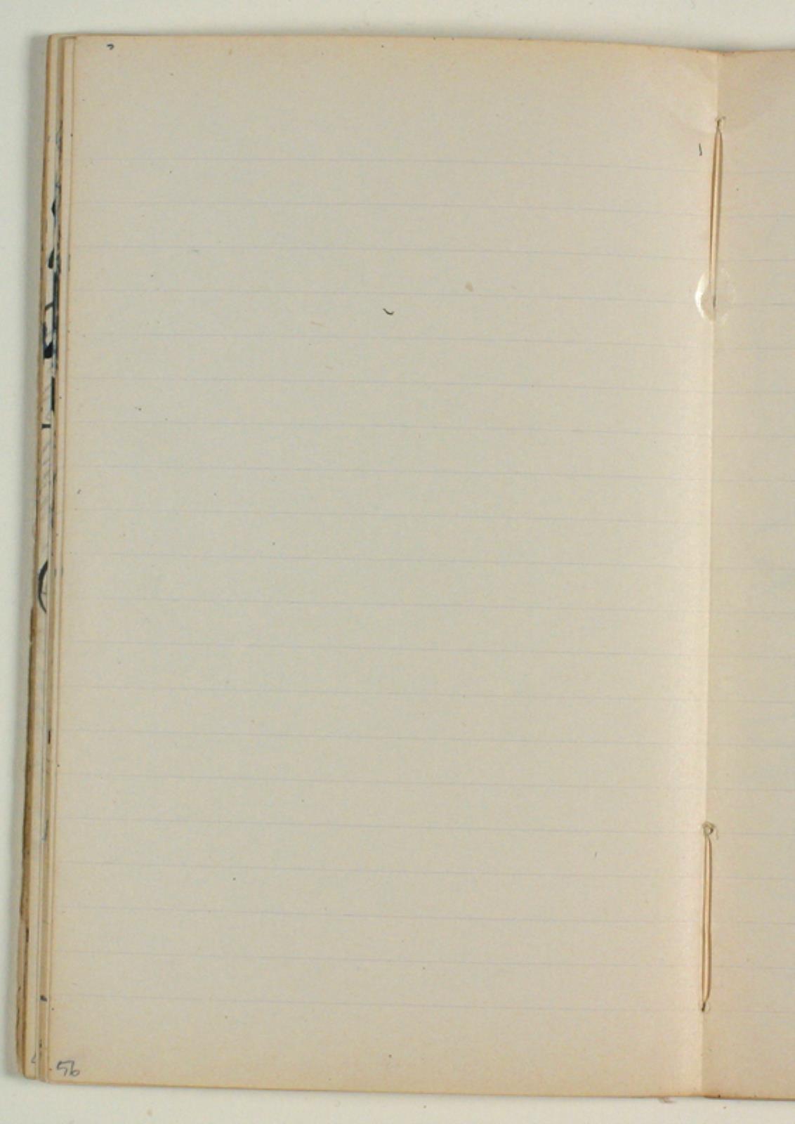 Niels Larsen Stevns, Blank