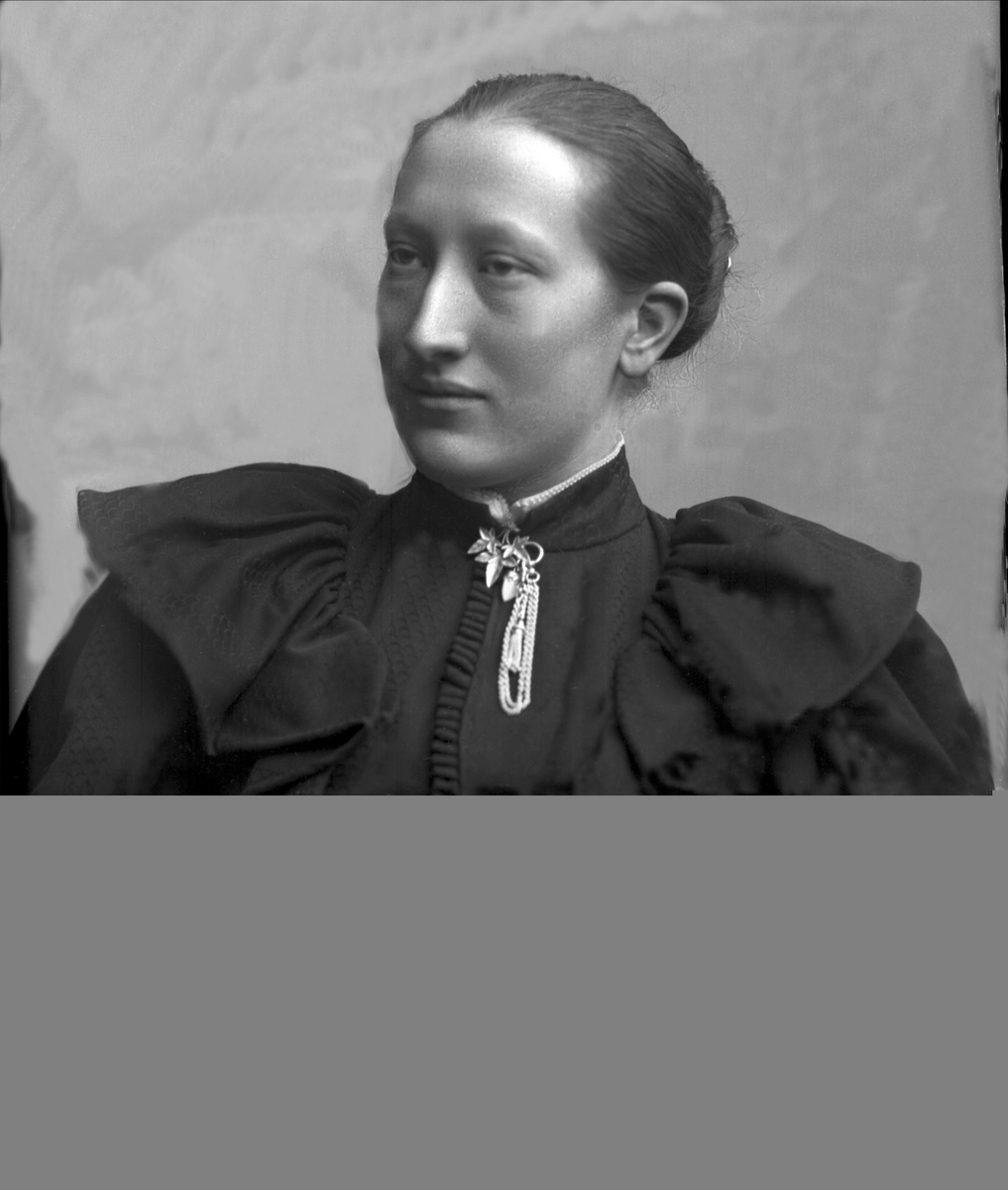 Gustav Borgen, NFB.22760