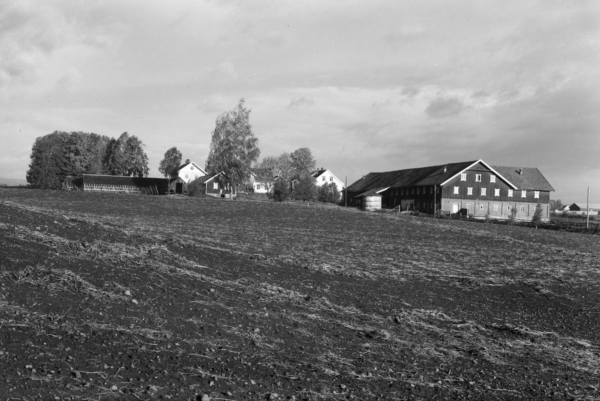 Anno Domkirkeodden, EKSTR: GARDSTUN, GRINDERENG, LØTEN. Se Løtenboka, bind 1. Bygdeboka fra 1949, side 304