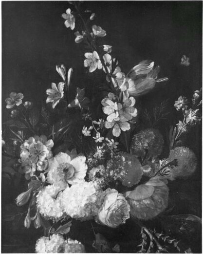 Rachel Ruysch, flower stilllife