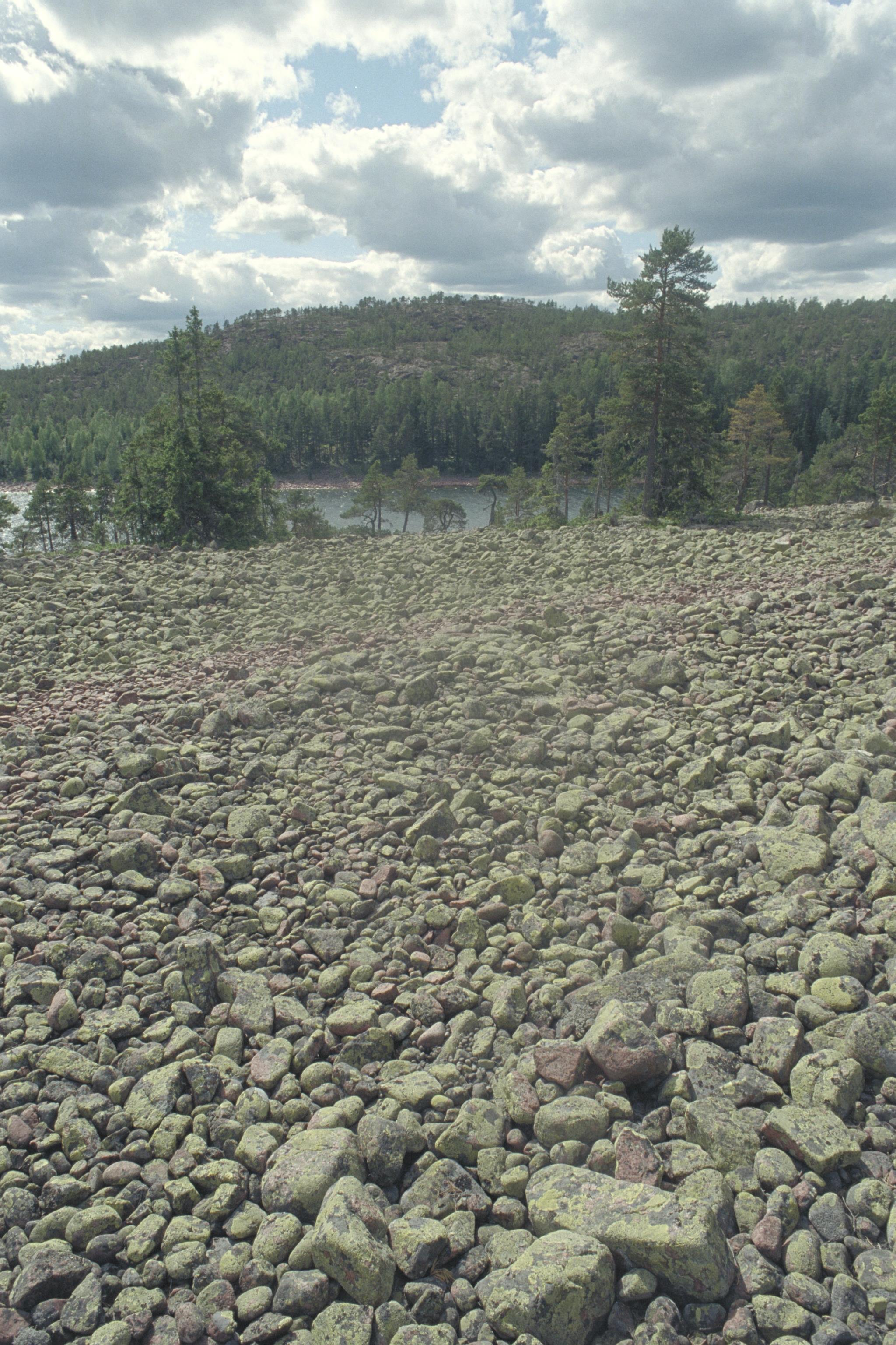 Bengt A Lundberg, Norrfällsviken