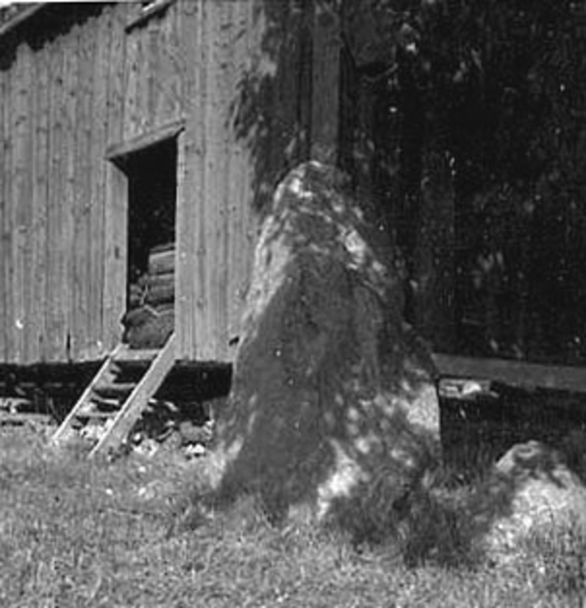 Anno Domkirkeodden, EKSTERIØR: GARDSBRUK, UTHUS, HUSEBY GÅRD,