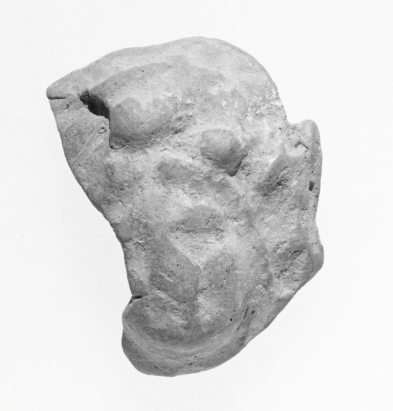 Unknown, Female Head