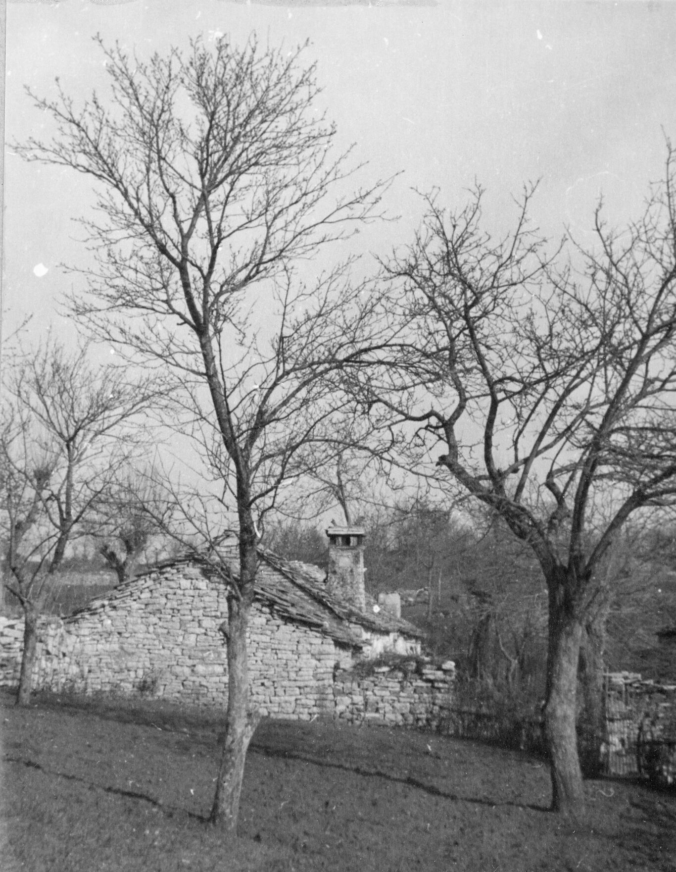 Branko Fučić, Grubiši (Pazin), seljačka kuća, tradicijska gradnja