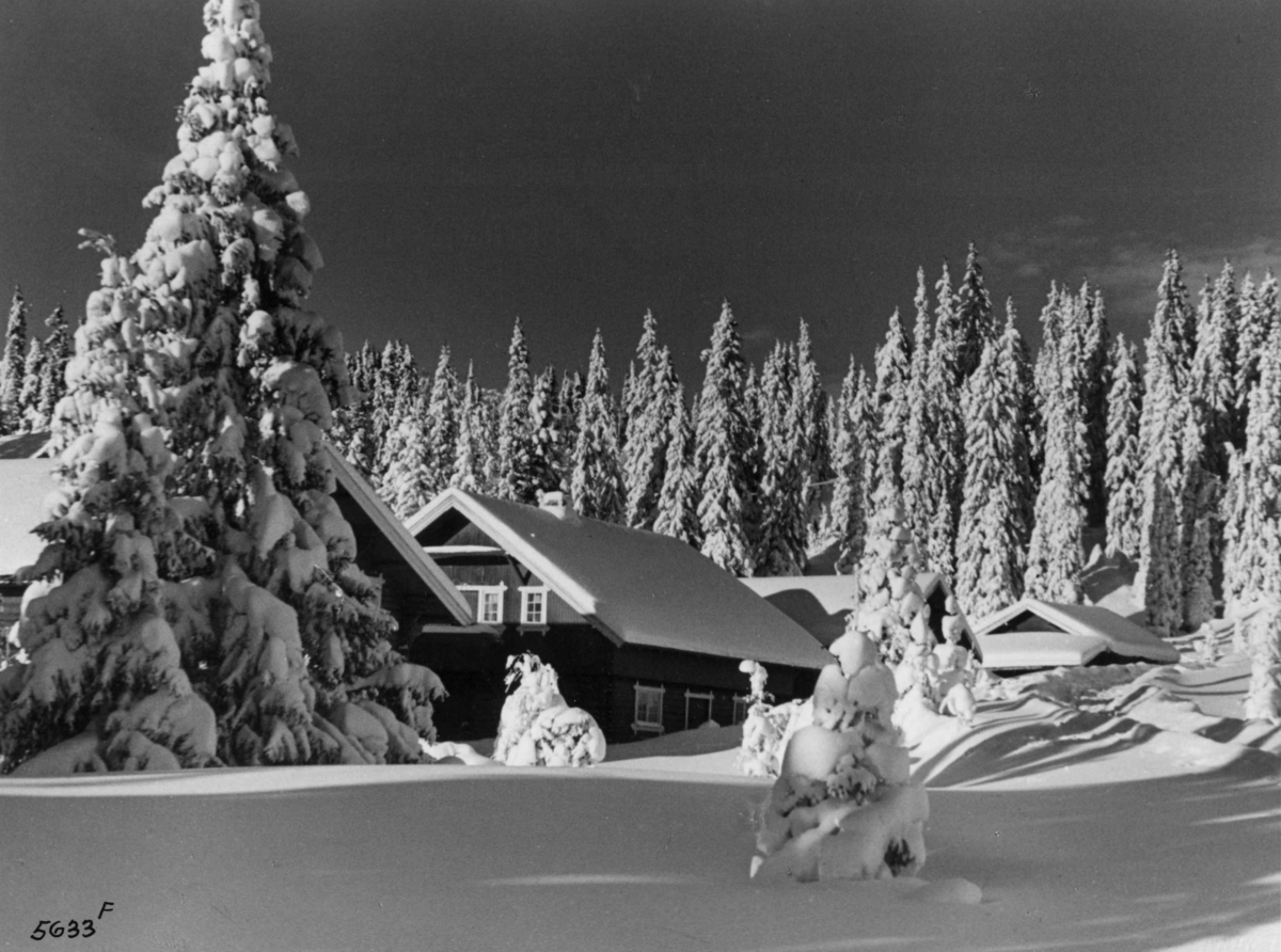 Anders Beer Wilse, Bebyggelse, Vinter, Sno