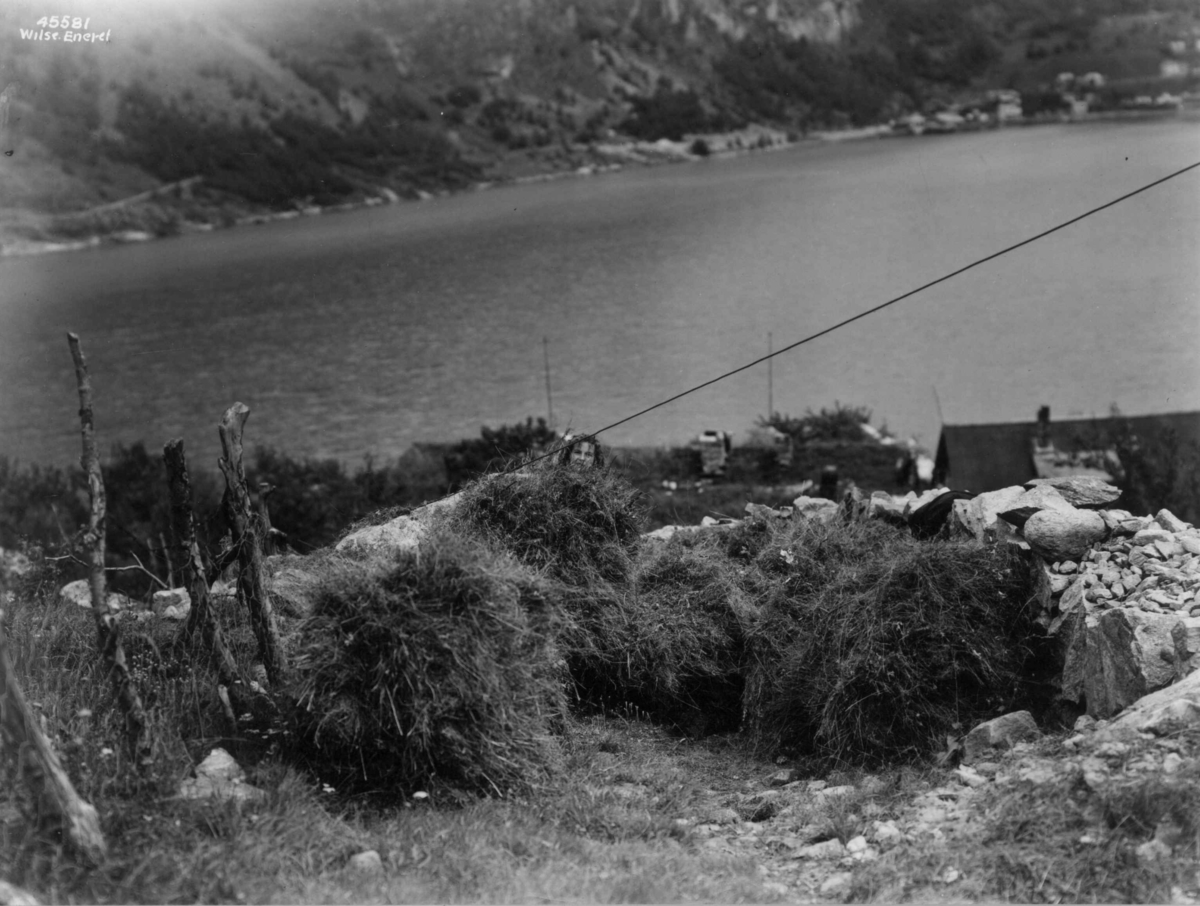 Anders Beer Wilse, Høybæring og løypestreng