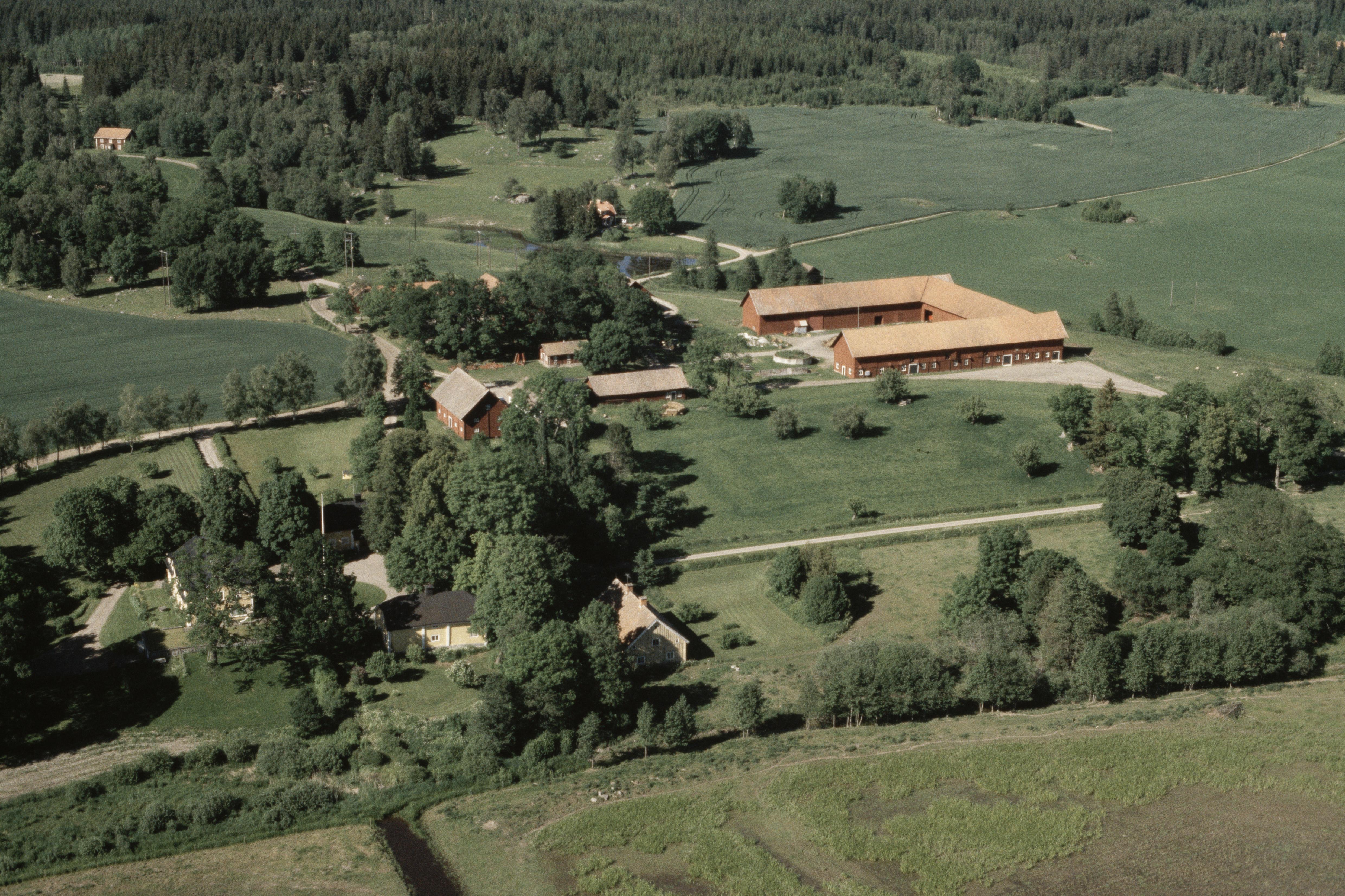 Jan Norrman, Floda 241:1