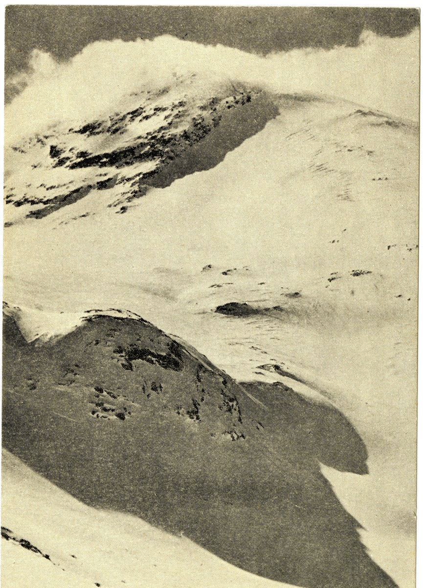 Anders Beer Wilse, Skogadalen