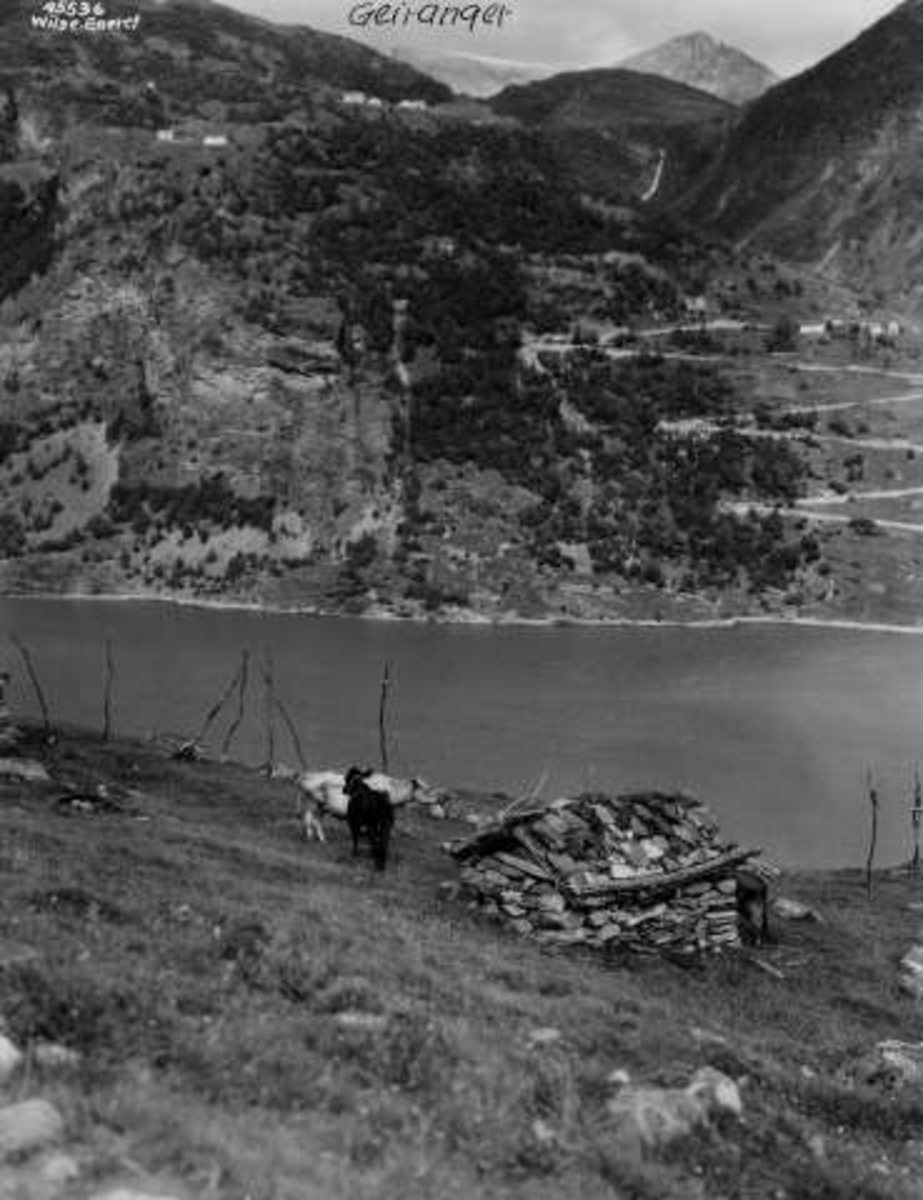 Anders Beer Wilse, -6363