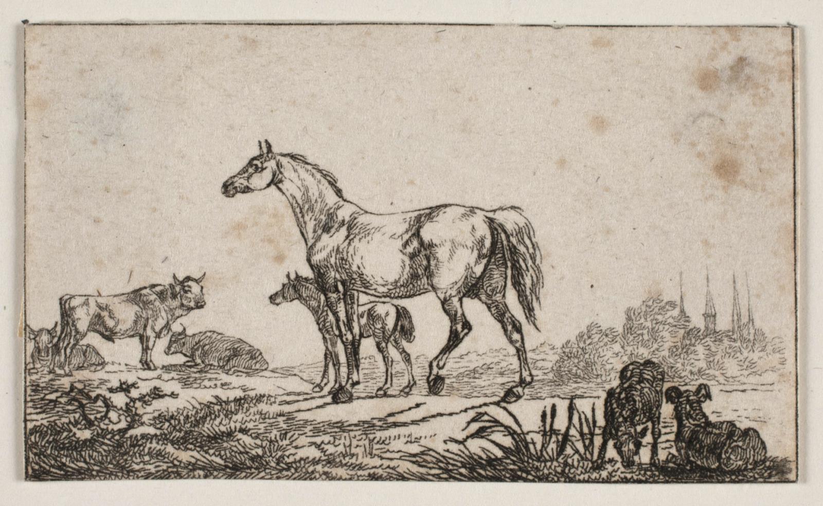 Christian David Gebauer, Gebauers visitkort
