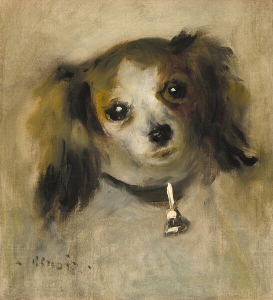 Auguste Renoir, Head of a Dog