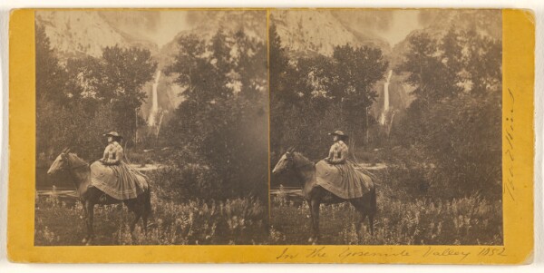 Carleton Watkins, [In the Yosemite Valley]