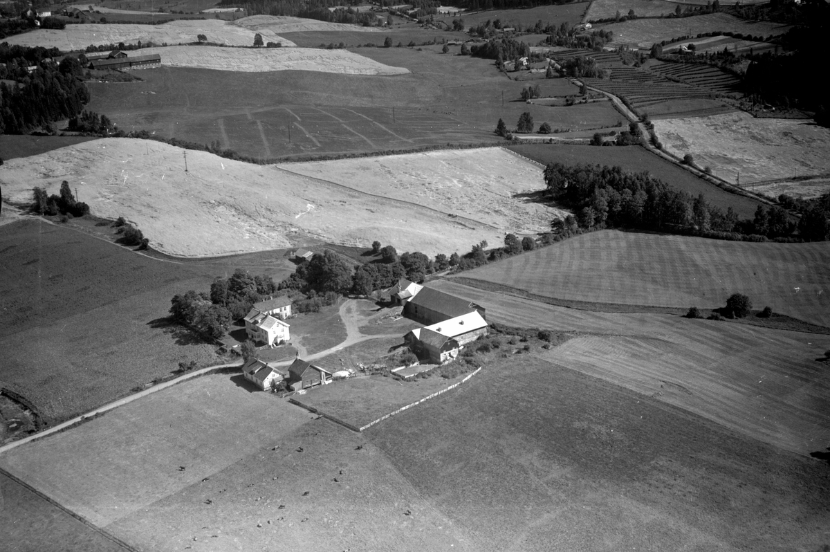 Anno Domkirkeodden, Flyfoto av Skapal gard, Ringsaker.