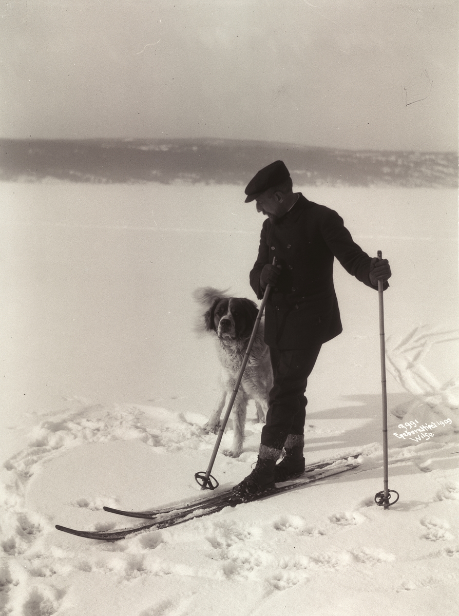 Anders Beer Wilse, Prot: Roald Amundsen - med sin hund paa Ski 7/3 1909