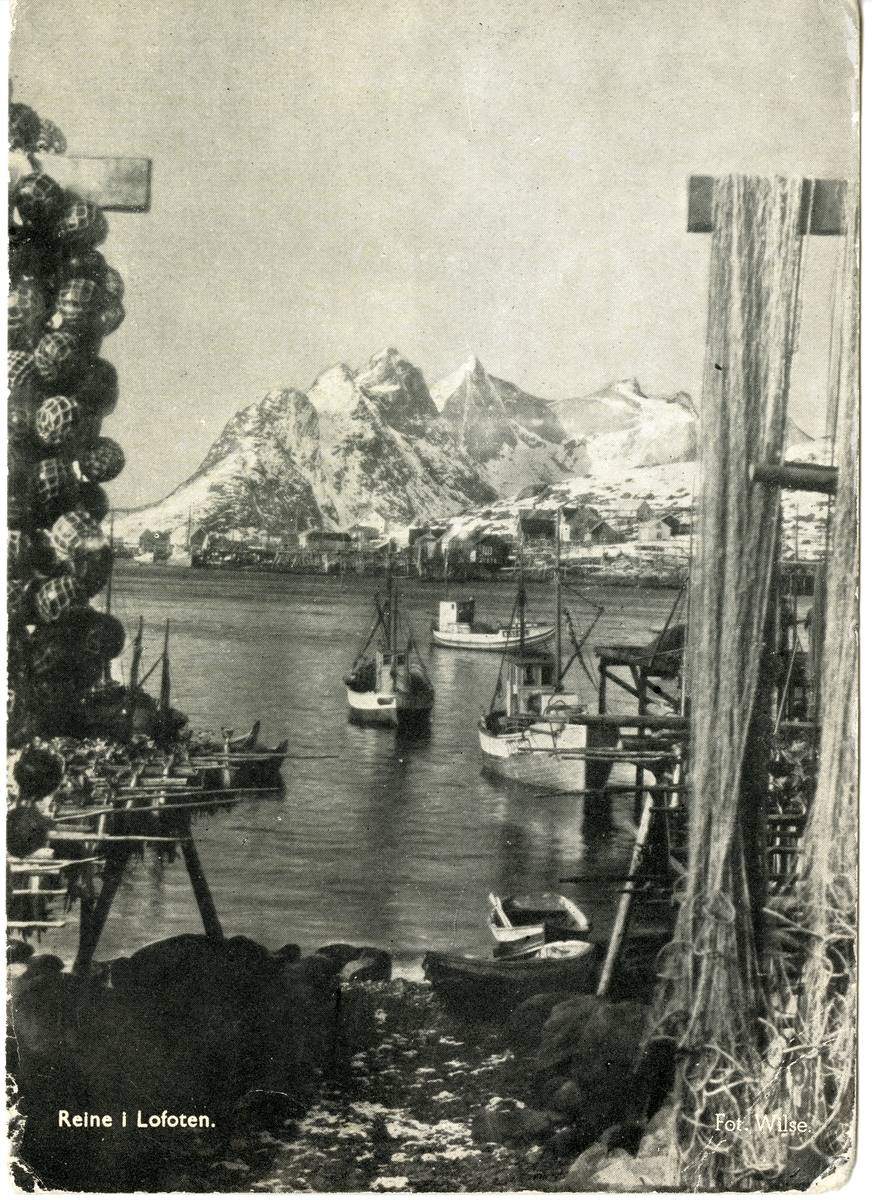 Anders Beer Wilse, Reine i Lofoten