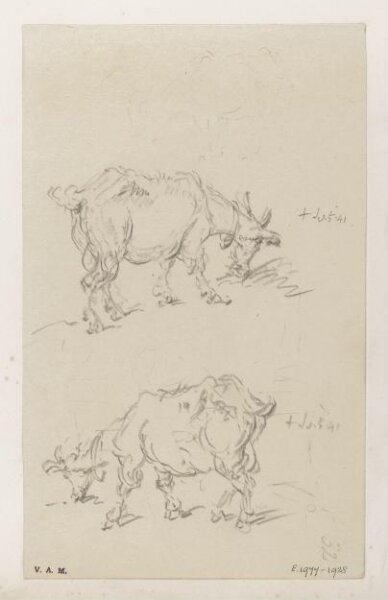 George Chinnery, Two drawings of a goat