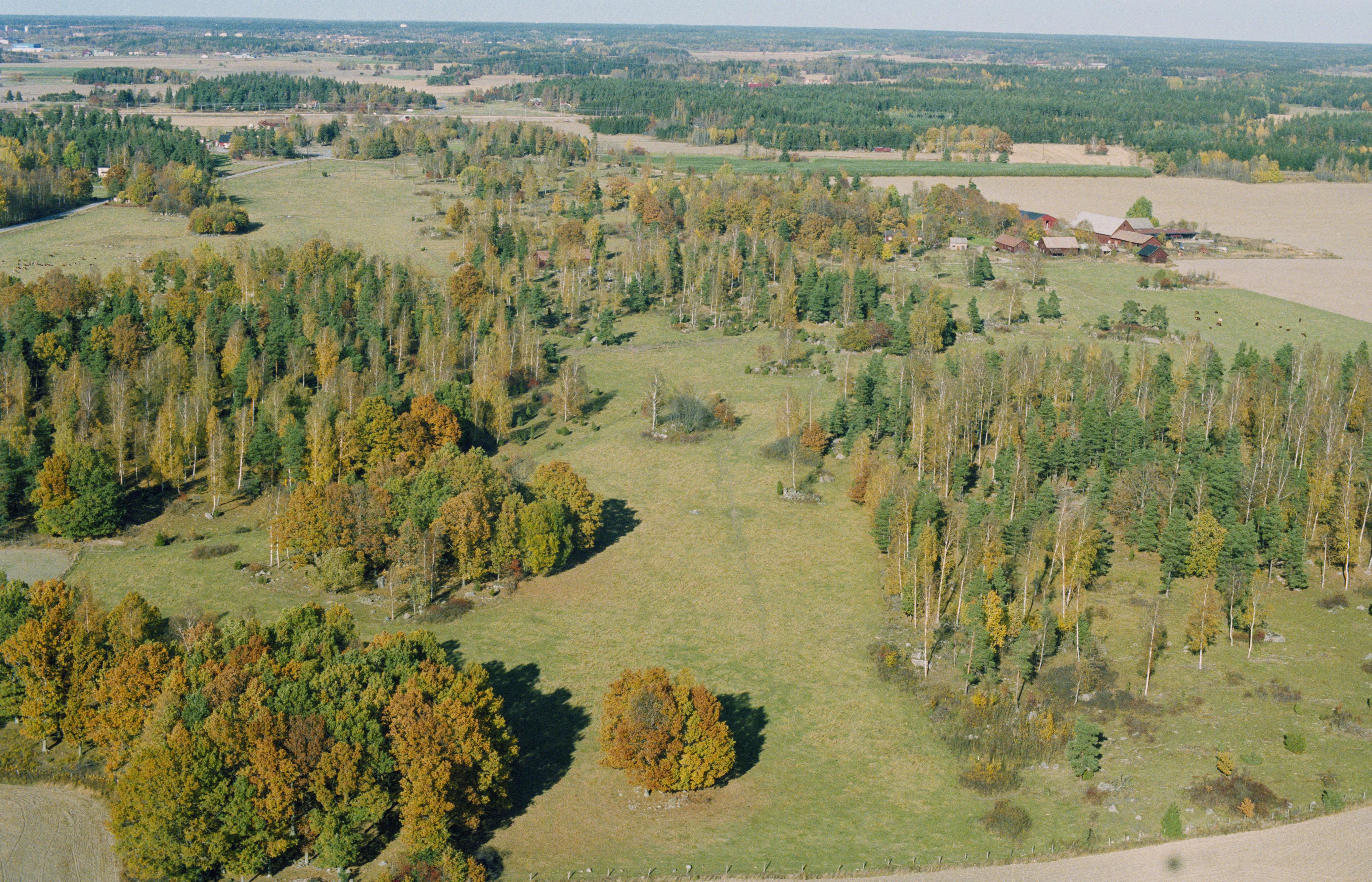 Jan Norrman, Säby 20:1